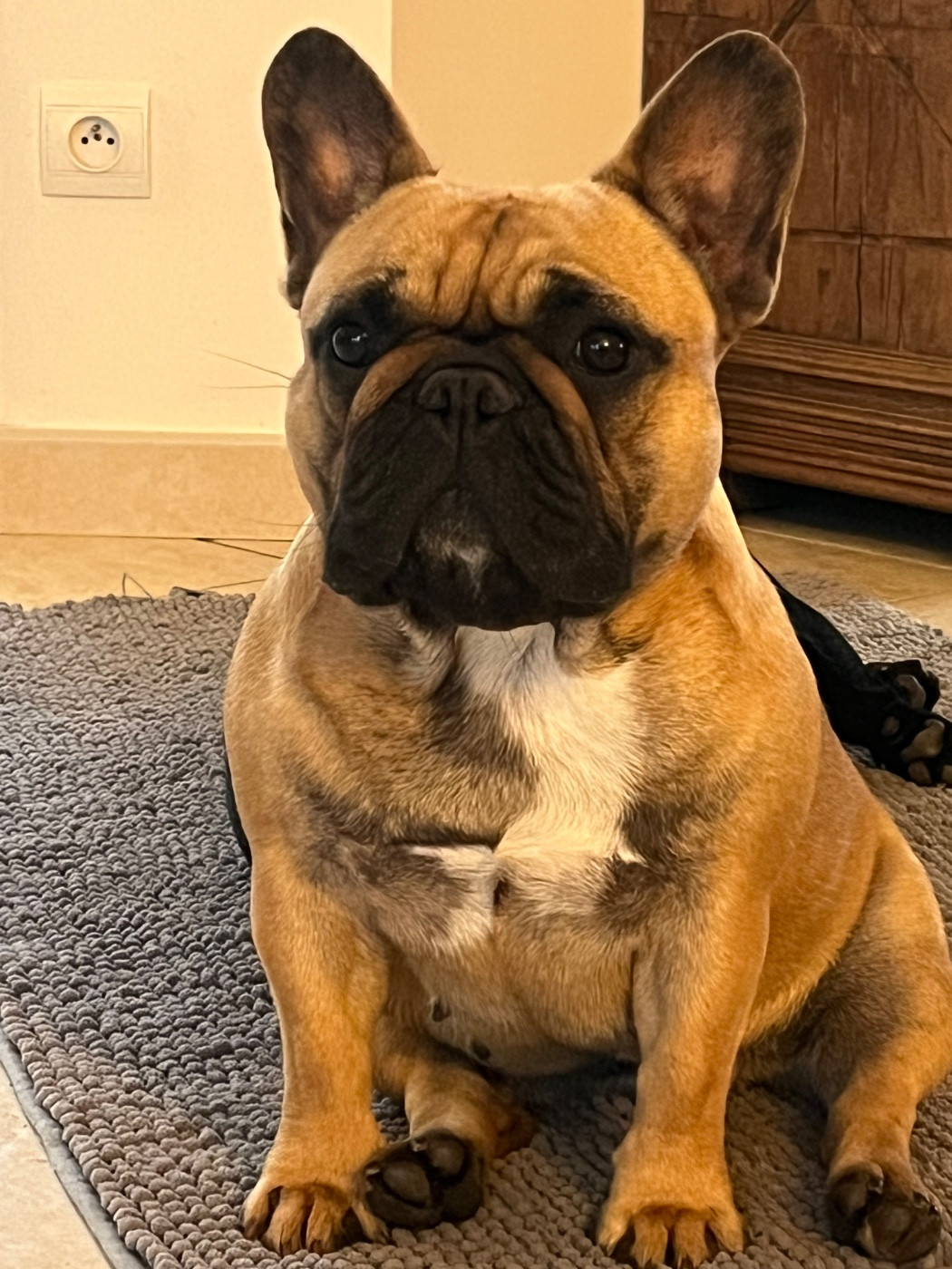 VENUS DE MILO Des Gardiennes De La Vallée Du Cher