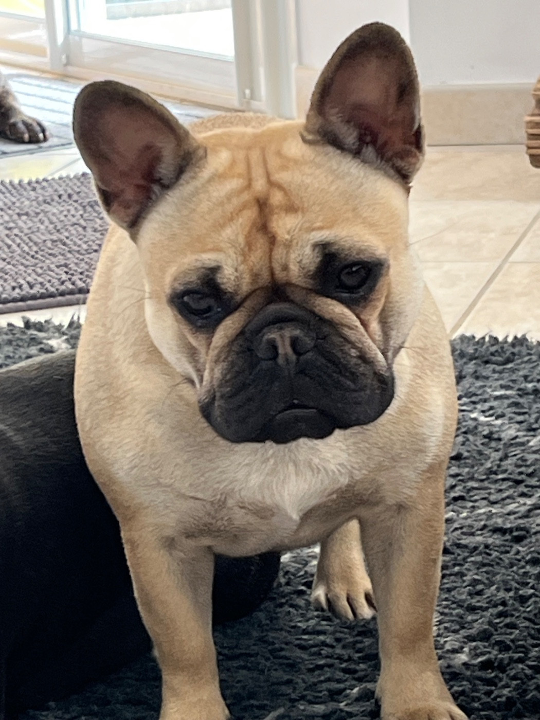 VOHALDEBRUMM DIT VAEA Des Jardins De Sorkal