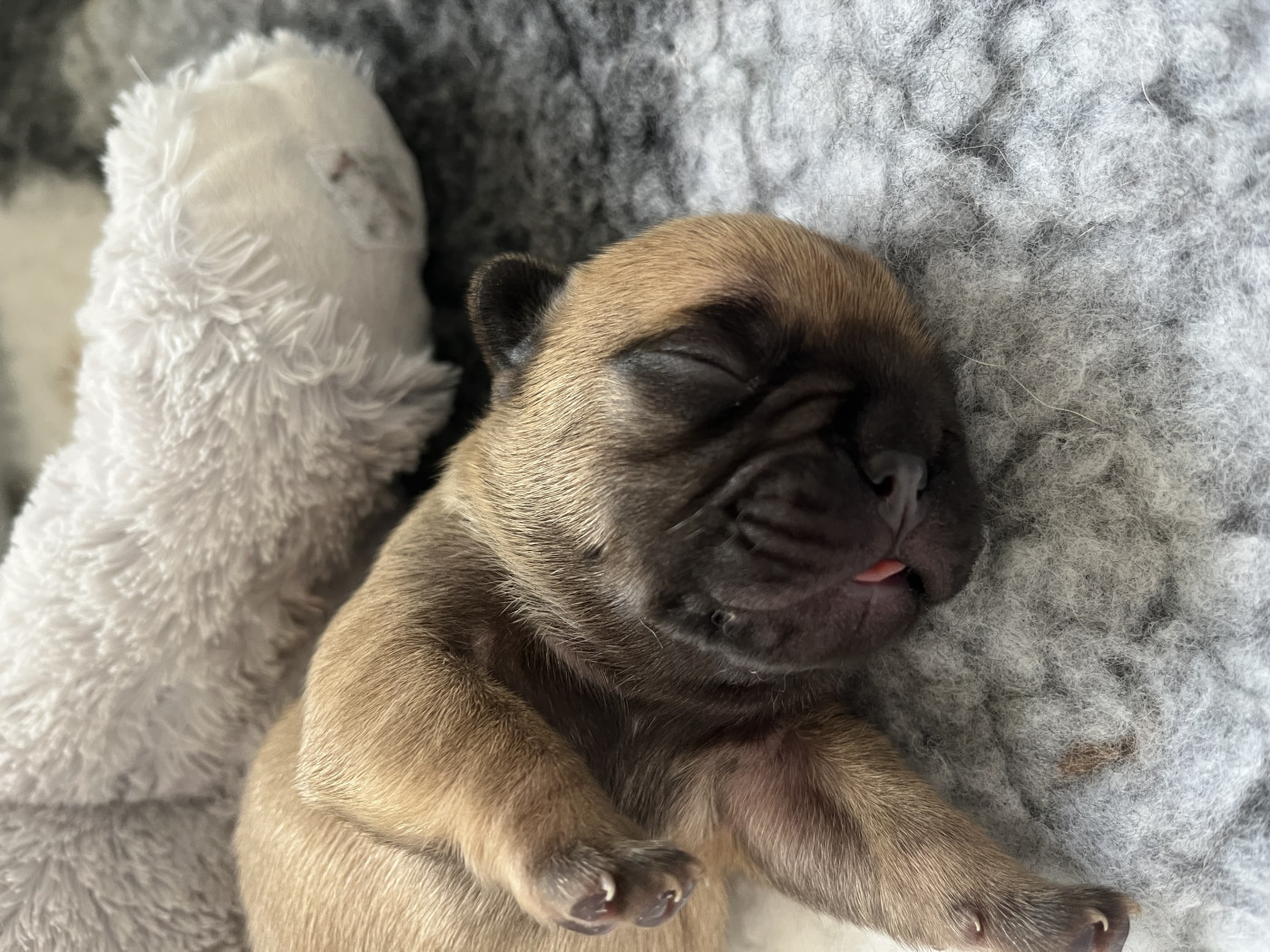 La cigogne est passée...