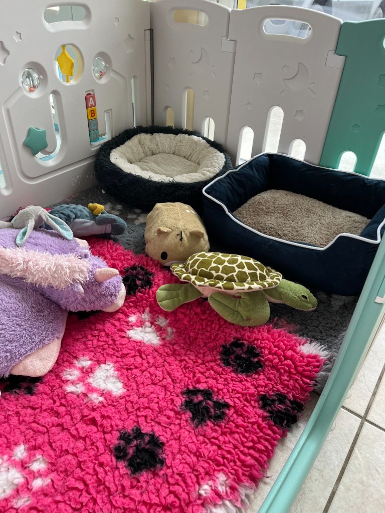 NURSERIE